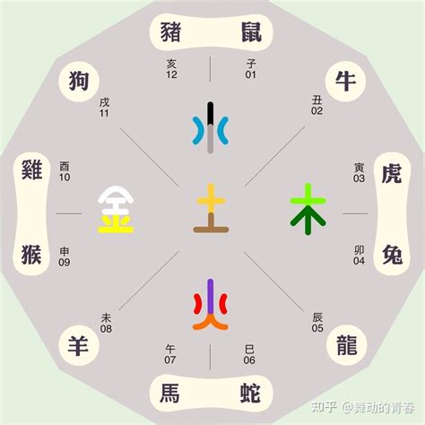 屬土生肖|五行屬土的有哪些生肖